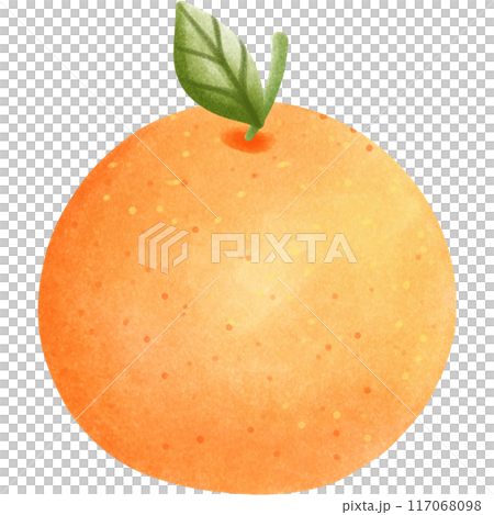 This animal is called a capybara 117068098