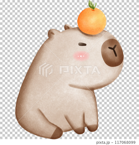 This animal is called a capybara 117068099