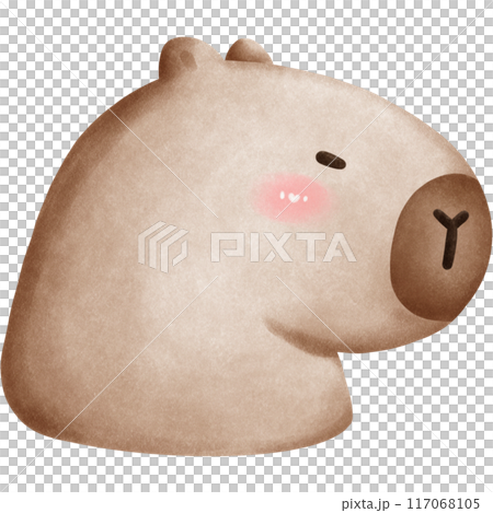 This animal is called a capybara This animal is called a capybara 117068105