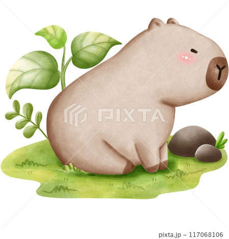 This animal is called a capybara 117068106