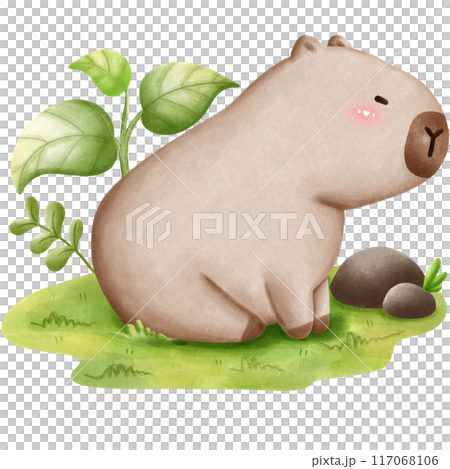 This animal is called a capybara 117068106