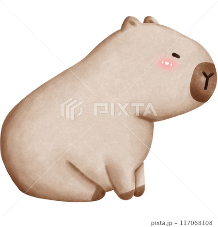 This animal is called a capybara 117068108