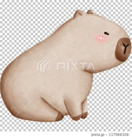 This animal is called a capybara This animal is called a capybara 117068108