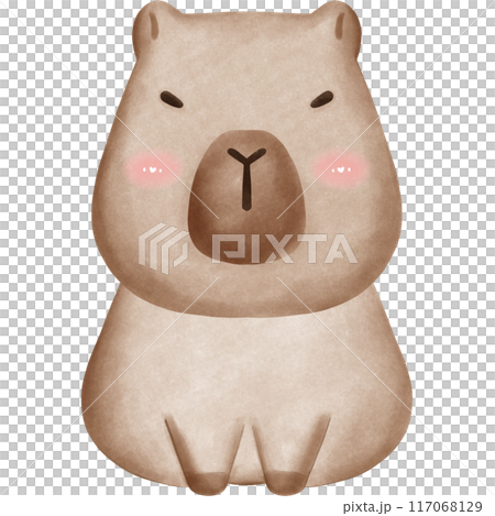 This animal is called a capybara 117068129