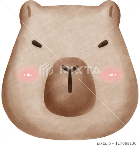 This animal is called a capybara 117068130