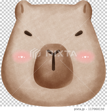 This animal is called a capybara 117068130