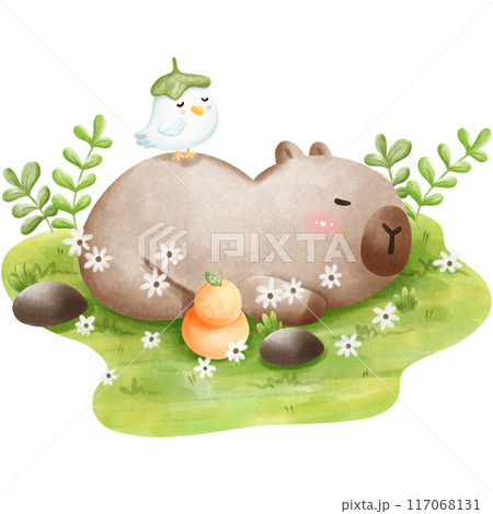 This animal is called a capybara This animal is called a capybara 117068131