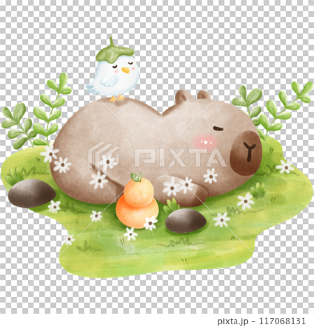 This animal is called a capybara This animal is called a capybara 117068131