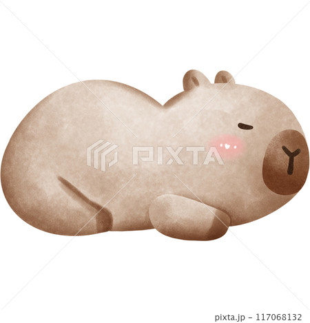 This animal is called a capybara This animal is called a capybara 117068132