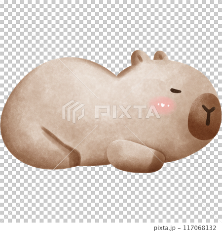 This animal is called a capybara This animal is called a capybara 117068132