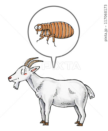 ヤギとノミ 117068173