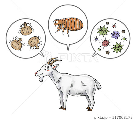 ヤギと寄生虫(ダニ、ノミ、病原菌) 117068175