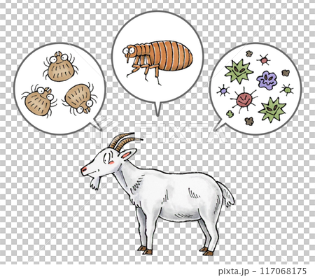 ヤギと寄生虫(ダニ、ノミ、病原菌) 117068175