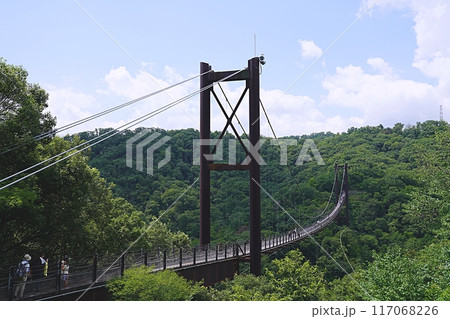 大阪　交野市　ほしだ園地　星のブランコ（北東側から、夏） 117068226