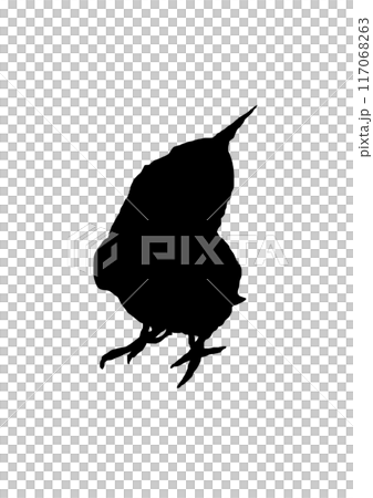 かわいいオカメインコのシルエット 117068263