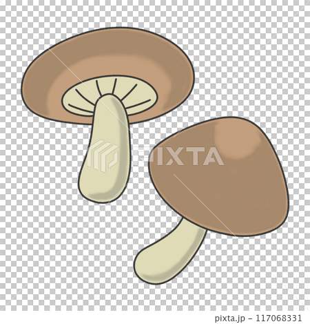 香菇的插圖 117068331