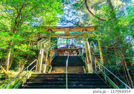 夏の幣立神宮　熊本県山都町 117068954