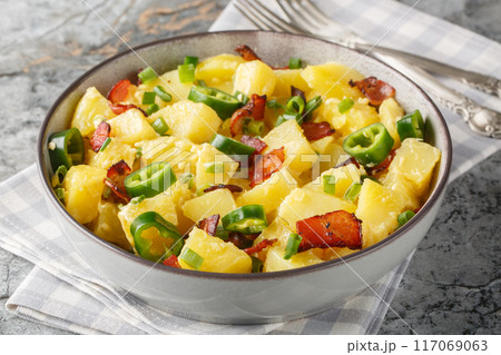 Spicy Potato Jalapeno Salad with Bacon, Green Onions and Mayo Close-up in Bowl. Horizontal 117069063