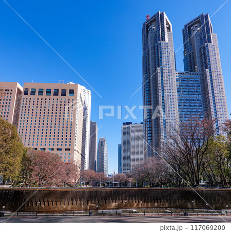 青空にそびえる東京都庁舎(東京都新宿区) 青空にそびえる東京都庁舎(東京都新宿区) 117069200