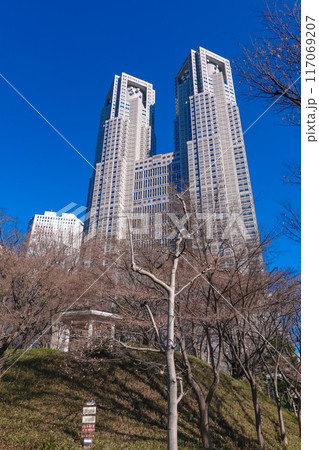 青空にそびえる東京都庁舎（東京都新宿区） 117069207