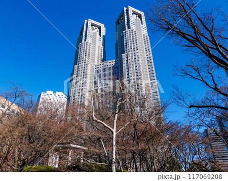 青空にそびえる東京都庁舎(東京都新宿区) 青空にそびえる東京都庁舎(東京都新宿区) 117069208
