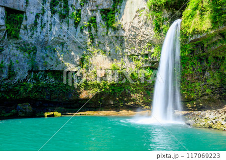 夏のうのこの滝　宮崎県五ヶ瀬町 117069223