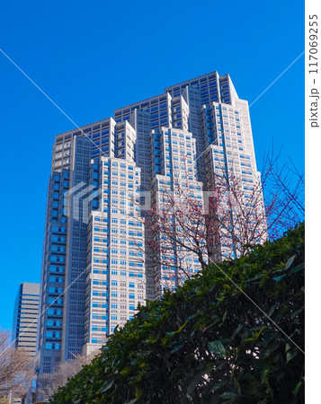 第二本庁舎  青空にそびえる東京都庁舎（東京都新宿区） 117069255