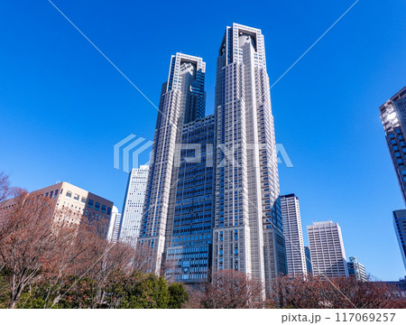 青空にそびえる東京都庁舎（東京都新宿区） 117069257