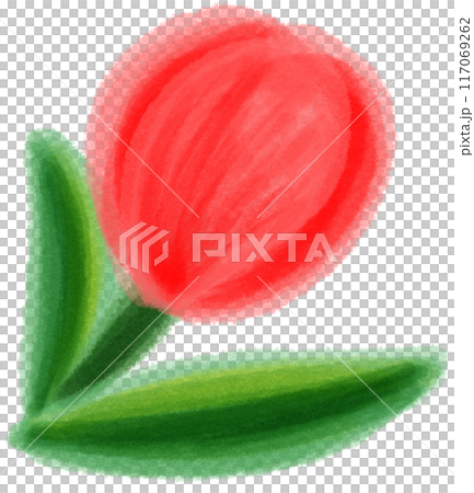 red tulip red tulip 117069262