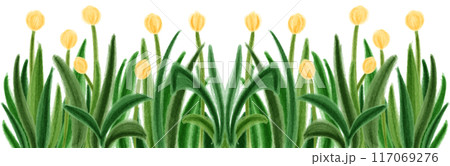 yellow tulip frame yellow tulip frame 117069276