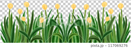 yellow tulip frame yellow tulip frame 117069276