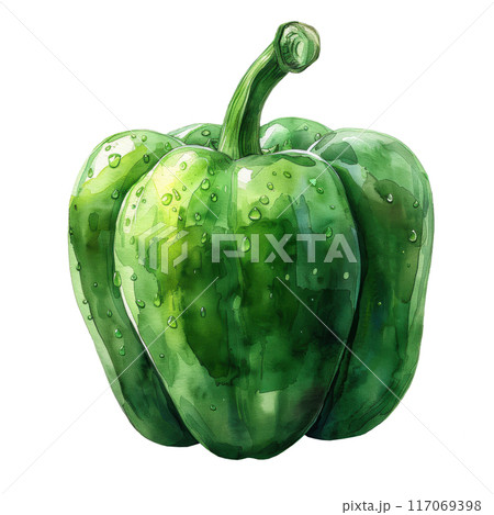 Watercolor fresh green bell pepper vegetable with dew droplet isolated on white background clip art element illustration 117069398
