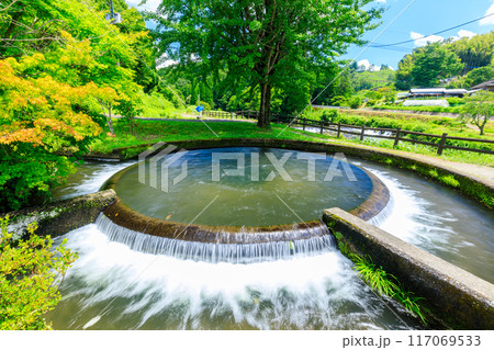夏の通潤用水 小笹円形分水 熊本県上益城郡 夏の通潤用水 小笹円形分水 熊本県上益城郡 117069533