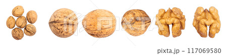 Set of Fresh Walnuts isolated on a transparent background Set of Fresh Walnuts isolated on a transparent background 117069580