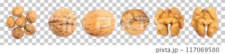 Set of Fresh Walnuts isolated on a transparent background Set of Fresh Walnuts isolated on a transparent background 117069580