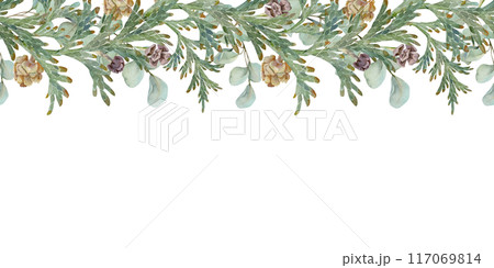 Juniper thuja evergreen conifer branches with cones. Watercolor hand drawn illustration, seamless banner isolated on white. Xmas, happy new year festive, noel navidad holiday. Cards, gifts, wedding. 117069814