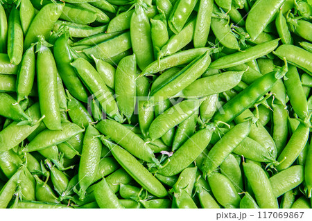 Texture of harvested garden peas on horizontal surface close-up nobody. 117069867