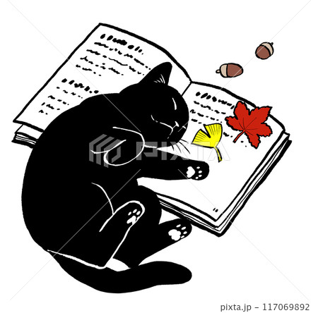 本の上で寝る黒猫　動物・ペットの手描きイラスト素材 117069892