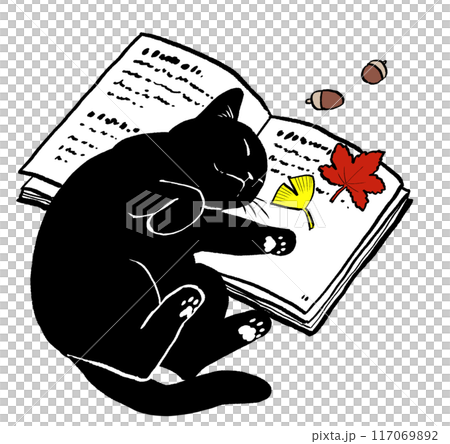 本の上で寝る黒猫　動物・ペットの手描きイラスト素材 117069892