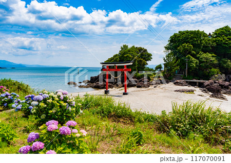 荒平天神（菅原神社）の鳥居と紫陽花 117070091