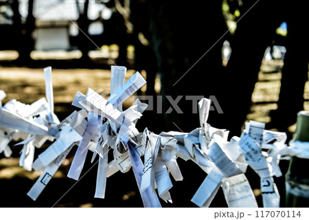 結ばれたおみくじ 117070114