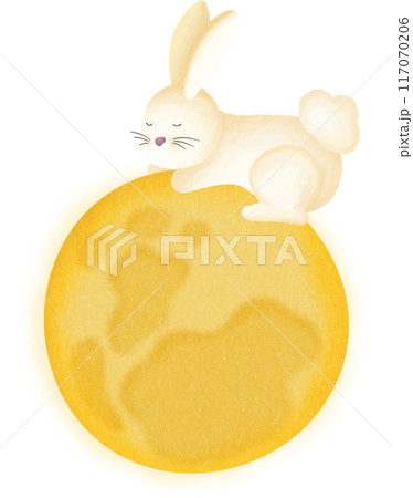 Rabbit on the moon 117070206