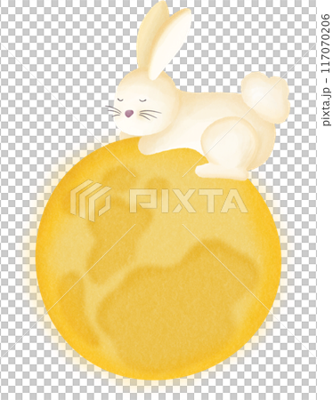 Rabbit on the moon 117070206