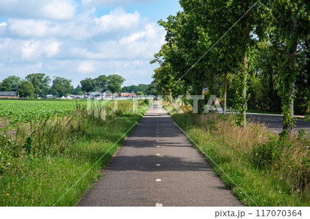 Venhorst, North Brabant, The Netherlands, July 11, 2024 - Straight double cycling road through the agriculture fields at the Dutch countryside 117070364