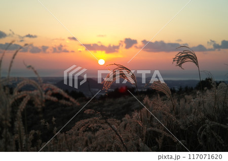 Sunset on the peak of the mountain with reed grass in Jeju Island South Korea 117071620