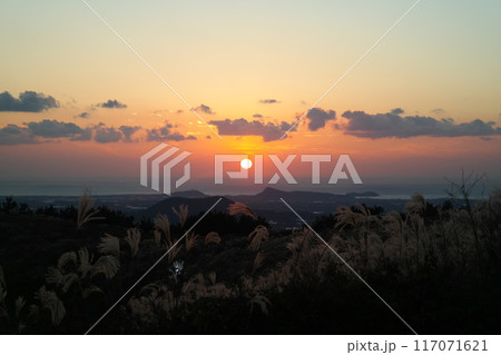 Sunset on the peak of the mountain with reed grass in Jeju Island South Korea Sunset on the peak of the mountain with reed grass in Jeju Island South Korea 117071621