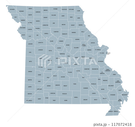 Missouri, subdivided into 114 counties and the independent city St. Louis, gray political map. State in the Midwestern region of United States, Show Me State, Cave State, and Mother of the West. 117072418