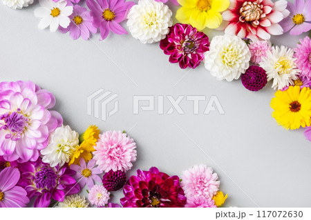 Creative layout made of flowers asters, dahlias, calendula. Floral Greeting card. Colorful autumn flower background with space for text. Nature trendy decorative design. Nature concept. Flat lay. Creative layout made of flowers asters, dahlias, calendula. Floral Greeting card. Colorful autumn flower background with space for text. Nature trendy decorative design. Nature concept. Flat lay. 117072630