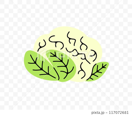 Cabbage, cauliflower and cole, graphic design. Vegetables, fruit, market garden, food and meal, vector design and illustration Cabbage, cauliflower and cole, graphic design. Vegetables, fruit, market garden, food and meal, vector design and illustration 117072681