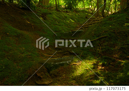 京都 瑠璃光院 京都 瑠璃光院 117073175